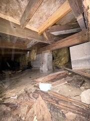Wood rot