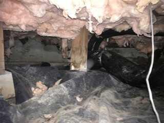 Very Dirty Crawl Space