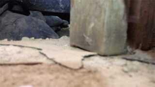 Professional Reinforcement of Homes Sagging Subfloor - Beaverton, OR