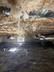 Mold Remediation in Scottsville, KY