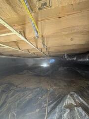 Mold Removal Complete