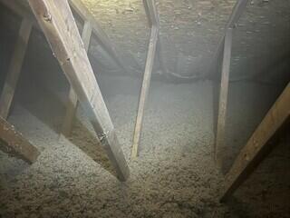 The Benefits of Cellulose
