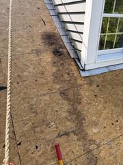 Identifying Water-Damaged Decking