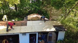 Reinforcing the Roof with New CDX Plywood