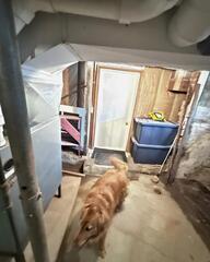 A Basement Tour Guide