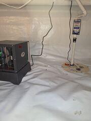 TripleSafe Sump Pump & SaniDry Sedona Dehumidifier