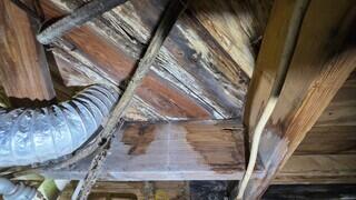 Moisture from a recent water leak in the crawl space had heavily damaged the wooden floor joists and subfloors in the home's crawl space.