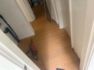 Complete Crawl Space Subfloor Repair