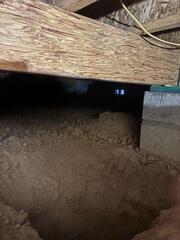 Excavation for Crawl Space Support Installation