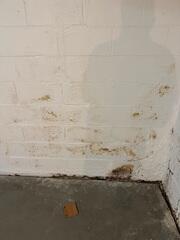 Water Damage