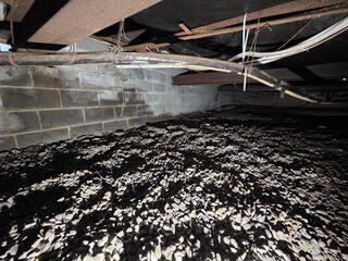 Wet Crawl Space