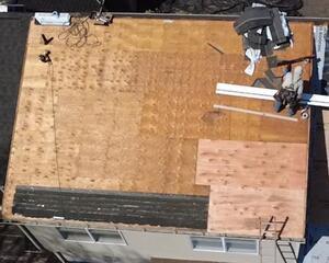 Installing New CDX Plywood