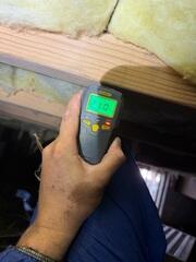 High Wood Moisture Content
