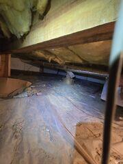 Musty crawl space