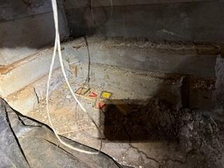 Rodent Traps