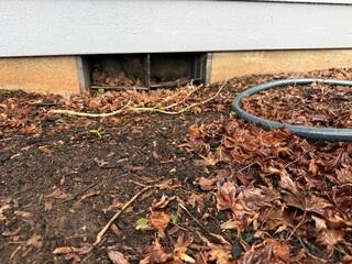 Original Crawl Space Vent