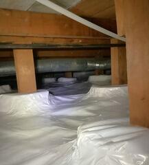 CleanSpace