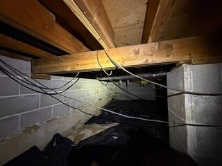 Moisture in Floor Joists