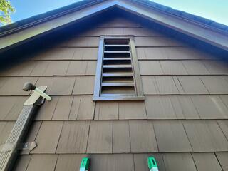 The bats were able to infest the attic by squeezing through the gable vent.