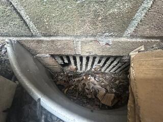 As we inspected the exterior of the building, we found out how the mice got inside - through the old and exposed crawl space vents!