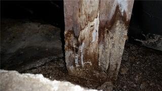 Rotten Subfloor Post