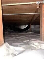 Encapsulated Crawl Space!