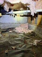 Dirty Crawl Space