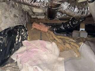 Crawl Space - Exposed Soil and Insulation