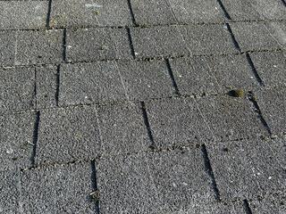 Worn Three-Tab Shingles with Moss Growth