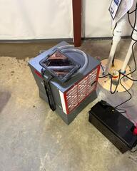 Not Just Any Dehumidifier