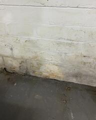Chalky and Stained Walls
