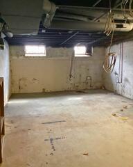 Down to the Bare Bones