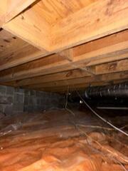 Mold Remediation