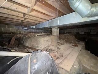 Damp Crawl Space