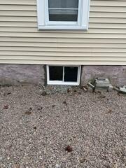 New Basement Windows