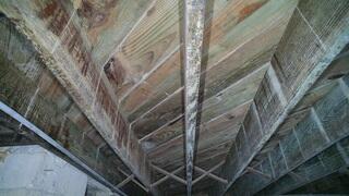 Mold & Mildew Growth in Crawl Space