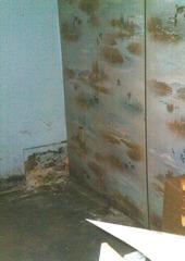 Damaged Basement