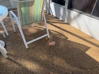 Concrete Patio Surface Damage