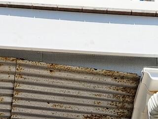 Pigeons Harbor Under 3rd Floor Decking in Seaside Heights, NJ