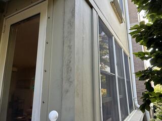 Evidence of the Raccoon