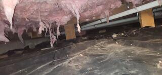 Very Dirty Crawl Space