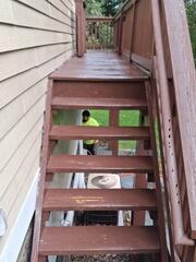 Stairs showing worn-down coating and faded paint prior to complete restoration treatment.