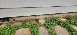 Exterior Foundation Wall Cracking