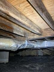 Mold Treatment in Friendship, TN