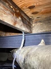 What to Do About Mold Growth
