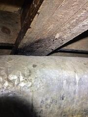 Wood Rot