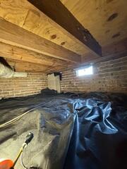 Ways to Treat Mold