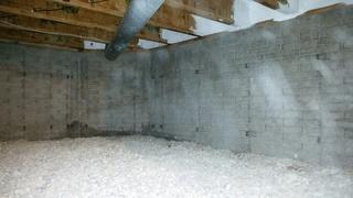 Evident Dampness