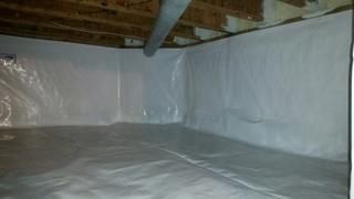 CleanSpace Liner 