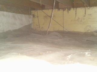 Before Encapsulation 